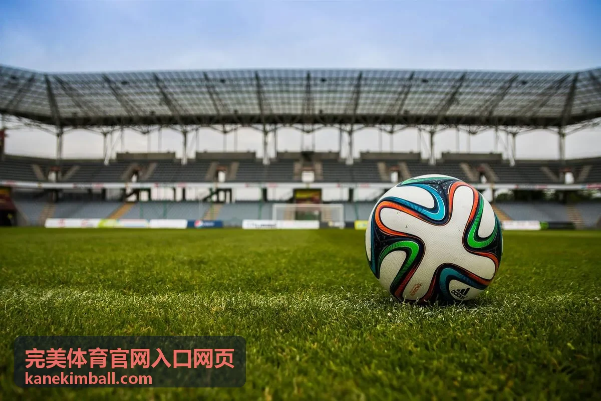 完美体育官网入口网页赛程视图示意
